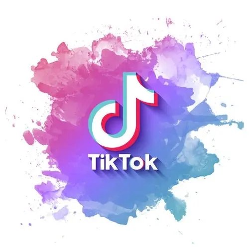 国内怎么用TikTok？学会这些教你绕过限制